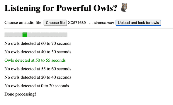 owls